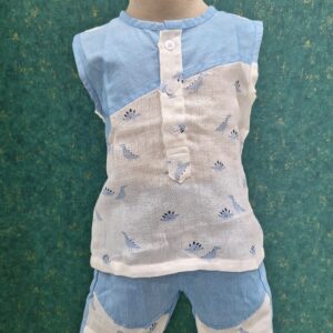 Little Dino assymetric Blue Co-ord Set